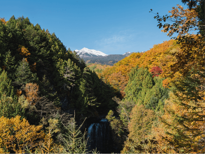 あざみ池の写真