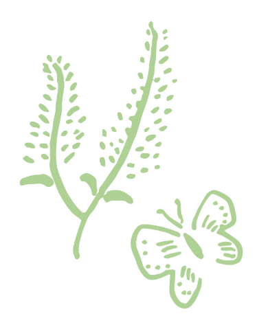 イラスト